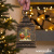 картинка Новогодний фонарь Winter Glade Санта-Клаус на санях F428-1 от магазина Сантехстрой