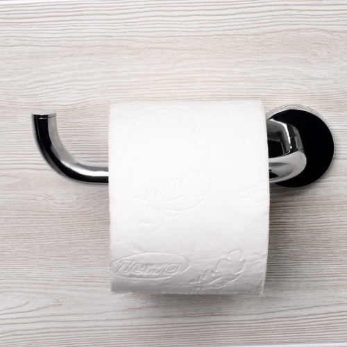 картинка Rhein K-6296 Держатель туалетной бумаги от магазина Сантехстрой