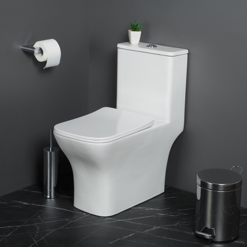 картинка Унитаз-моноблок с сиденьем BelBagno NEON BB8617CPR-MN/SC от магазина Сантехстрой