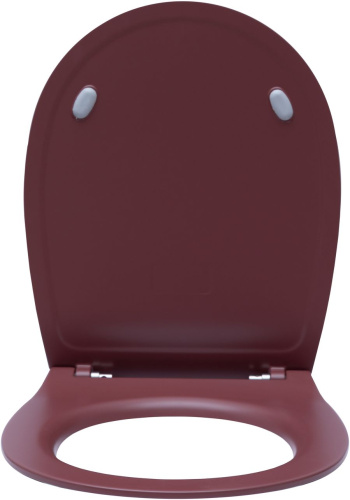 картинка Крышка-сиденье для унитаза Allen Brau Fantasy Soft-Close 4.11005.BD бордо от магазина Сантехстрой
