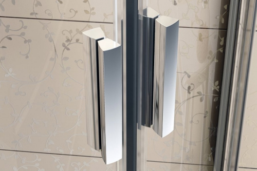 картинка Душевая дверь Ravak Blix BLDP2-100 0PVA0U00ZG профиль Сатин стекло Grape от магазина Сантехстрой