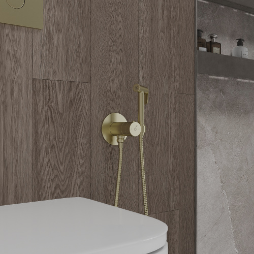 картинка Гигиенический душ с термостатическим смесителем Oliveeka OL-829909-BG, золотой матовый от магазина Сантехстрой