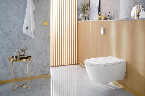 картинка Унитаз-биде Villeroy&Boch ViClean-L V0E100R1 подвесной с сиденьем Микролифт от магазина Сантехстрой