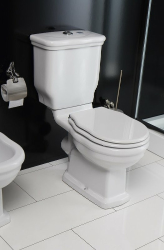 картинка Унитаз компакт BelBagno Boheme BB115CPR без бачка и сиденья от магазина Сантехстрой