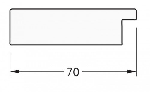 картинка Зеркало Evoform Definite Floor 197х78 BY 6005 в багетной раме - Соты алюминий 70 мм от магазина Сантехстрой