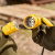 картинка Розетка переносная влагозащищенная с крышкой,  с/з,  16 А,  IP44, каучук желтая REXANT от магазина Сантехстрой