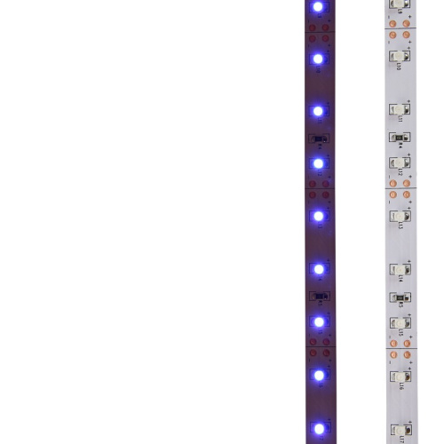 картинка LED лента 5м открытая,  8 мм,  IP23, SMD 2835, 60 LED/m,  12 V,  цвет свечения синий LAMPER от магазина Сантехстрой