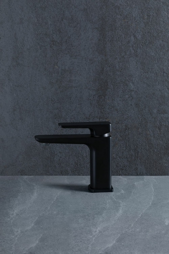 картинка Смеситель для раковины Allen Brau 5.21001-31 Черный от магазина Сантехстрой