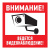 картинка Табличка ПВХ информационный знак «Внимание,  ведется видеонаблюдение» 200х200 мм REXANT от магазина Сантехстрой