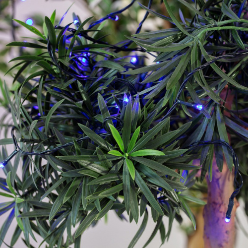 картинка Гирлянда Твинкл Лайт 10 м,  темно-зеленый ПВХ,  80 LED,  цвет: Синий от магазина Сантехстрой