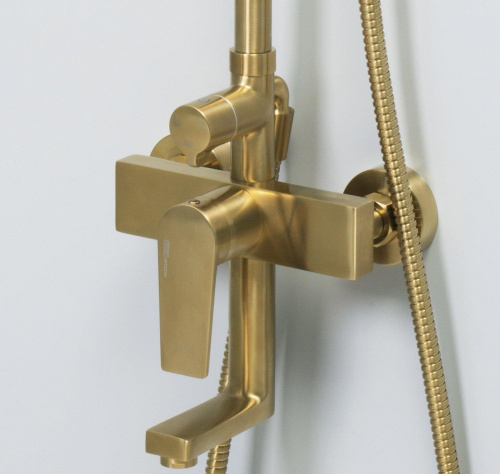 картинка Душевая система Wasserkraft Aisch BK15501BG от магазина Сантехстрой