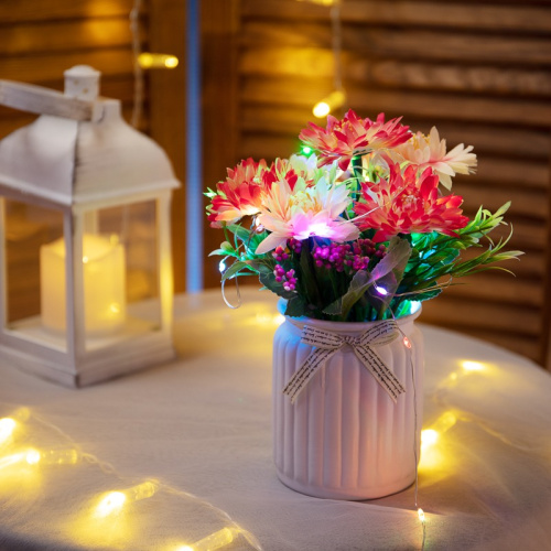 картинка Гирлянда Роса 2 м,  20 диодов, USB,  цвет RGB от магазина Сантехстрой