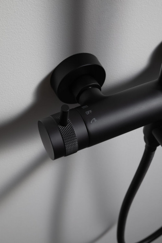 картинка Душевая стойка Allen Brau Priority 5.31A10-31 черный матовый от магазина Сантехстрой