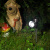 картинка Садовый светильник на солнечной батарее (SLR-PS-35) LAMPER от магазина Сантехстрой