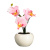 картинка LADECOR Светильник в виде орхидей в керамическом горшке, 12,2x12,2x19см, 1хCR2032, 2 цвета от магазина Сантехстрой