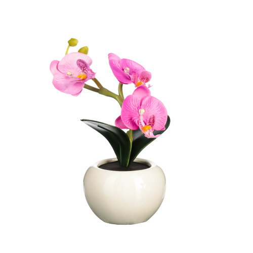 картинка LADECOR Светильник в виде орхидей в керамическом горшке, 12,2x12,2x19см, 1хCR2032, 2 цвета от магазина Сантехстрой