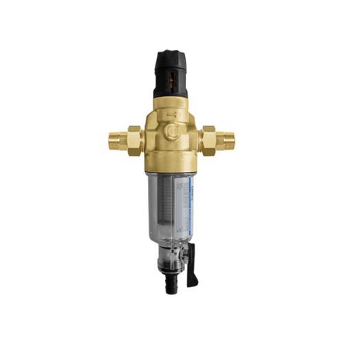 картинка Фильтр механической очистки воды с редуктором давления BWT Protector mini С/R HWS 3/4", 810549 от магазина Сантехстрой