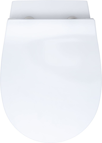 картинка Чаша приставного унитаза Allen Brau Fantasy 4.11007.20 белый глянец от магазина Сантехстрой