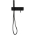 фото смеситель для душа allen brau 5.31009-31 черный