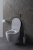 картинка Чаша подвесного унитаза Allen Brau Fantasy 4.11HC1.20 белый глянец от магазина Сантехстрой