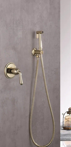картинка Гигиенический душ со смесителем Rose R0205E, золото от магазина Сантехстрой