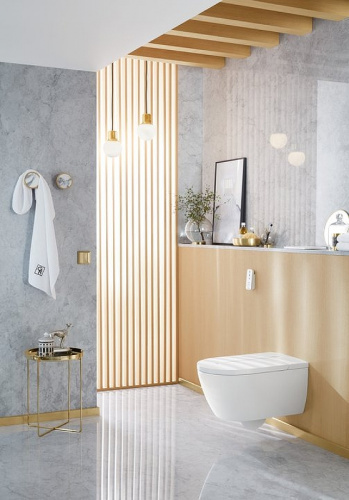 картинка Унитаз-биде Villeroy&Boch ViClean-L V0E100R1 подвесной с сиденьем Микролифт от магазина Сантехстрой
