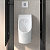 картинка TOTO PUBLIC Писсуар 306x400x590мм, с креплением к стене, со встроенным сифоном, выпуск в стену, подача воды из стены, CeFiONtect, цвет: белый от магазина Сантехстрой