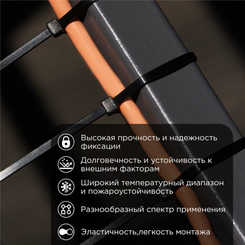 картинка Хомут-стяжка кабельная нейлоновая 1020x9,0мм,  черная (100 шт/уп) REXANT от магазина Сантехстрой