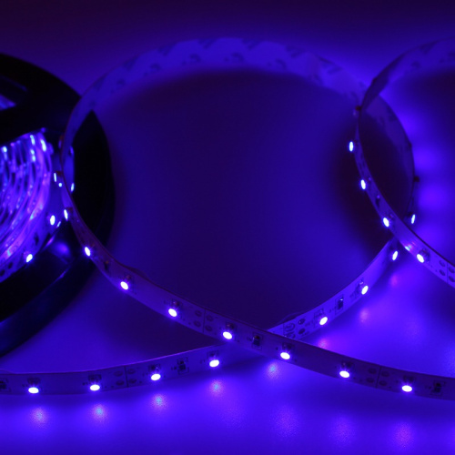 картинка LED лента 5м открытая,  8 мм,  IP23, SMD 2835, 60 LED/m,  12 V,  цвет свечения синий LAMPER от магазина Сантехстрой