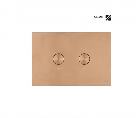 картинка Панель пневматическая двойная OLI Blink, сталь, бронза, антивандальный от магазина Сантехстрой