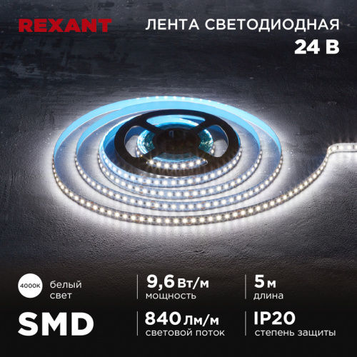 картинка Лента светодиодная 24В,  SMD2835, 9,6Вт/м,  120 LED/м,  4000K,  10мм,  5м, IP20 REXANT от магазина Сантехстрой