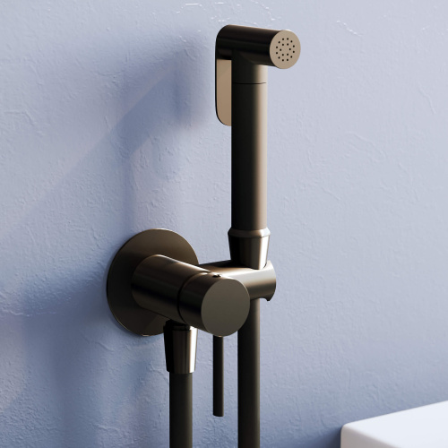 картинка Гигиенический душ со смесителем RGW SP-211B от магазина Сантехстрой