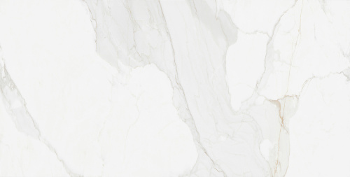 картинка Плитка керамогранитная Creo Ceramique WHITE WAVE 60х120 Glossy (GBT750219) от магазина Сантехстрой