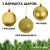 картинка Набор ёлочных шаров Winter Glade, пластик, 8 см, 12 шт, золотой микс от магазина Сантехстрой