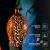 картинка Светильник подвесной Фатих,  3000К,  встроенный аккумулятор,  солнечная панель,  коллекция Стамбул REXANT от магазина Сантехстрой