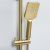 картинка Душевая система WasserKRAFT A155.260.201.BG Золото матовое от магазина Сантехстрой