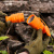 картинка Вилка прямая влагозащищенная,  c/з,  16 А,  IP44, каучук оранжевая REXANT от магазина Сантехстрой