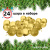 картинка Набор ёлочных шаров Winter Glade, пластик, 6 см, 24 шт, золотой микс от магазина Сантехстрой