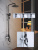картинка Душевая система Rose R1336H, черный от магазина Сантехстрой